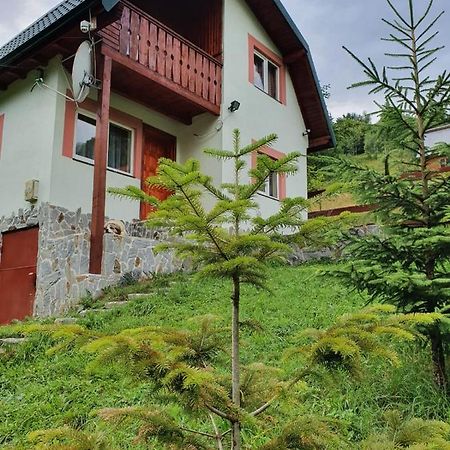 Вилла Casa Dor De Ea Дымбовичоара Экстерьер фото