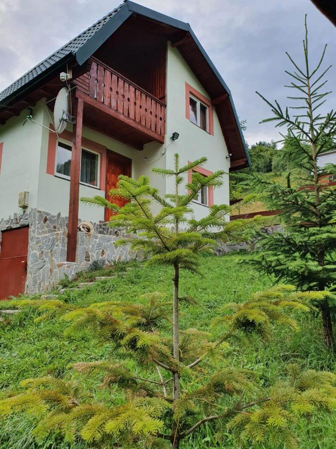 Вилла Casa Dor De Ea Дымбовичоара Экстерьер фото