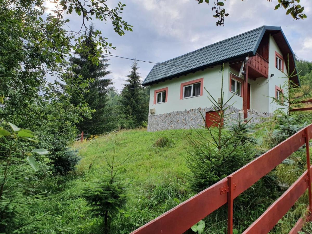 Вилла Casa Dor De Ea Дымбовичоара Экстерьер фото