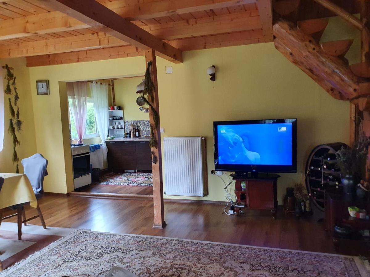 Вилла Casa Dor De Ea Дымбовичоара Экстерьер фото