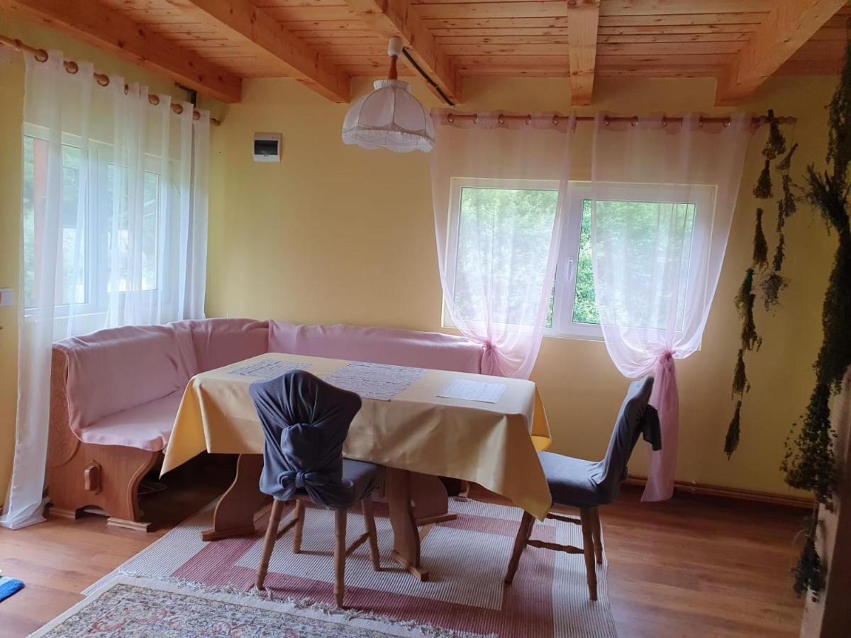 Вилла Casa Dor De Ea Дымбовичоара Экстерьер фото